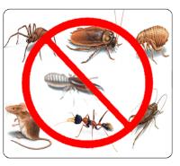 VIP Pest Management image 3